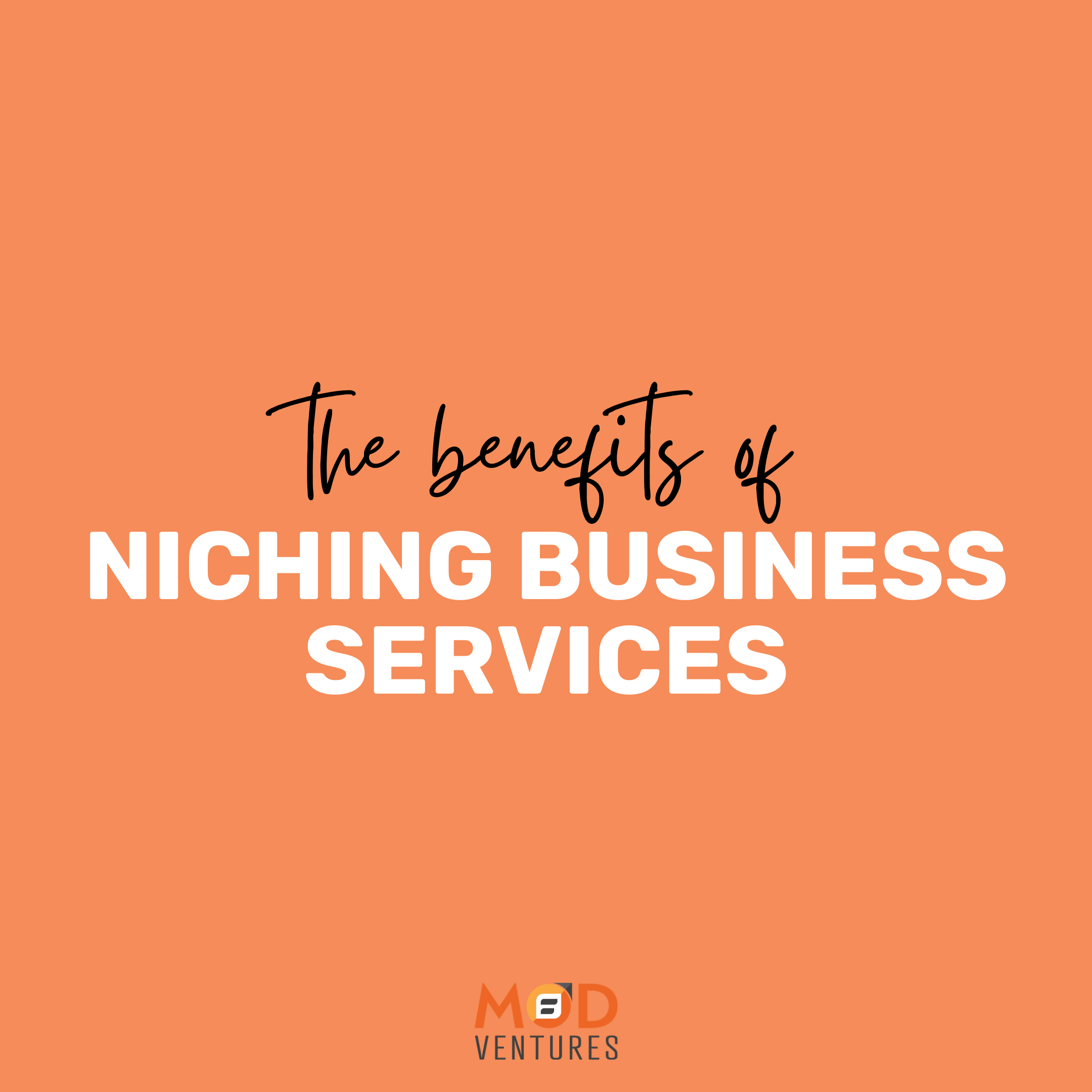 niching business services
