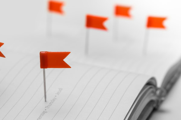 Several orange flag pins are placed on the pages of an open lined notebook, marking specific spots—much like hiring a Fractional Controller to highlight key financial areas. The focus is on the flag in the foreground.