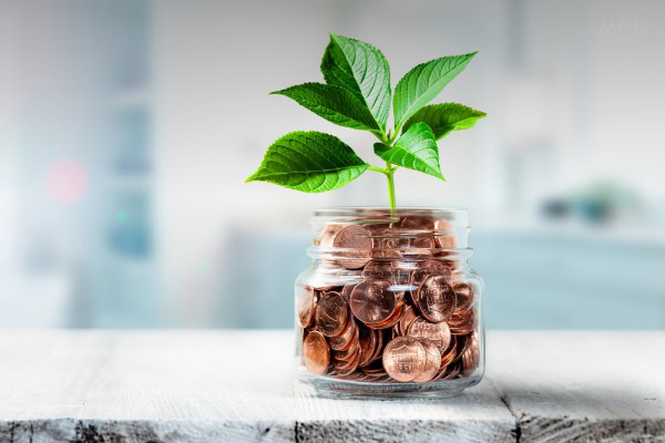 A small green plant growing from a glass jar filled with coins, placed on a white wooden surface, symbolizes growth and financial security—an ideal image for discussing 2025 tax rules for retirees or senior tax planning 2025.