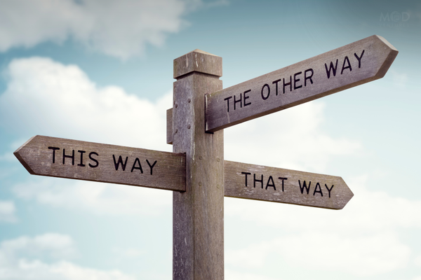 A wooden signpost with three arrows labeled "This Way," "That Way," and "The Other Way" stands against a partly cloudy sky, symbolizing the many directions business readiness can take.